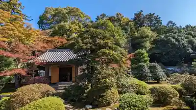 隨心院(随心院)(京都府)