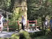 箱根神社のその他建物