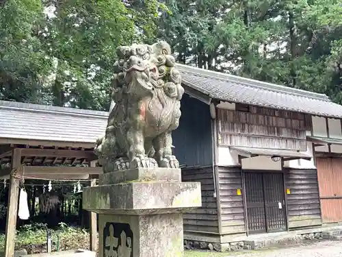 野々宮神社の狛犬