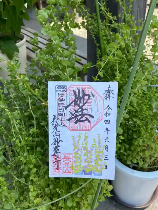 妙蓮寺の御朱印