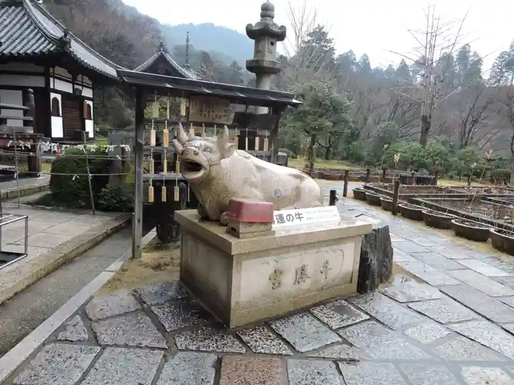 三室戸寺(京都府)