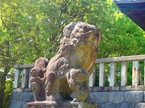 八幡神社の狛犬