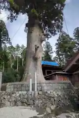 久津八幡宮(岐阜県)