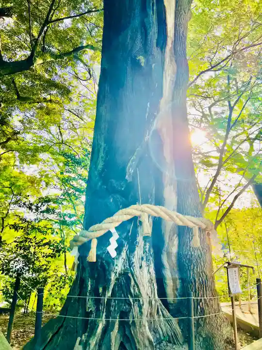 常陸國總社宮(茨城県)