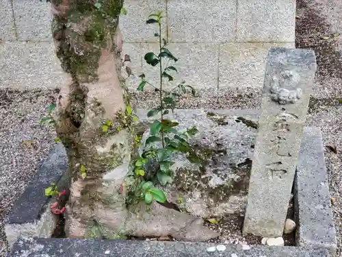 饒石神社の建物その他