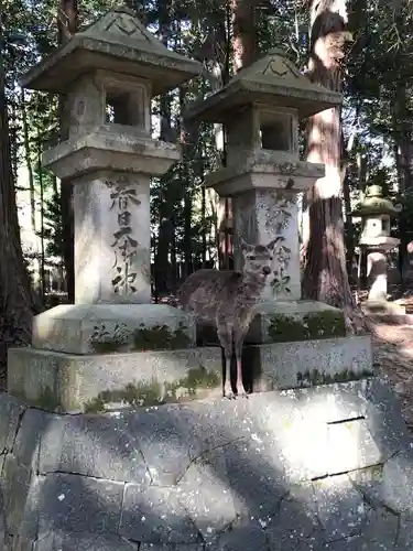 春日大社のその他建物