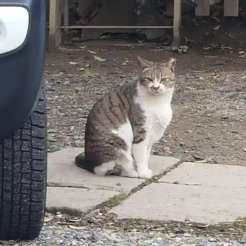 阿邪訶根神社(福島県)