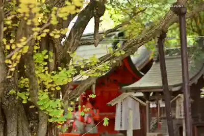 秩父神社(埼玉県)