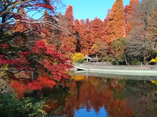 井の頭弁財天（大盛寺）(東京都)