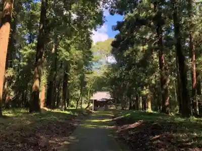 白幡神社のその他建物