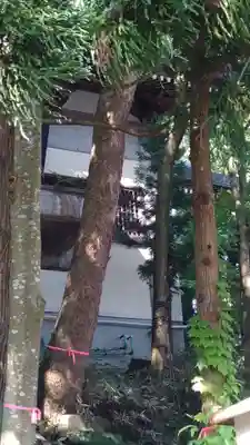 太平山三吉神社総本宮(秋田県)