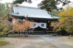 光明寺（粟生光明寺）の本殿