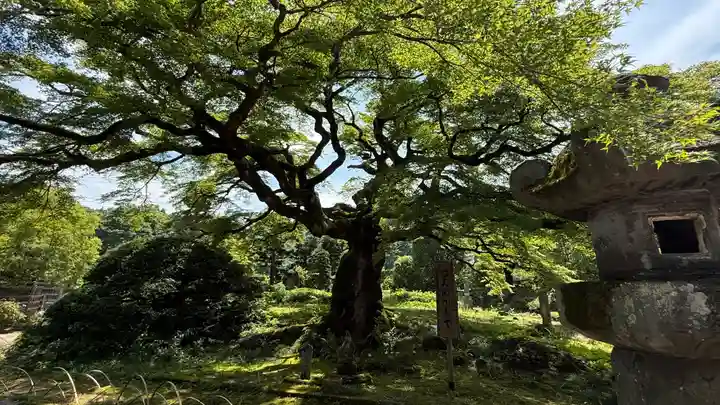 西善寺(埼玉県)