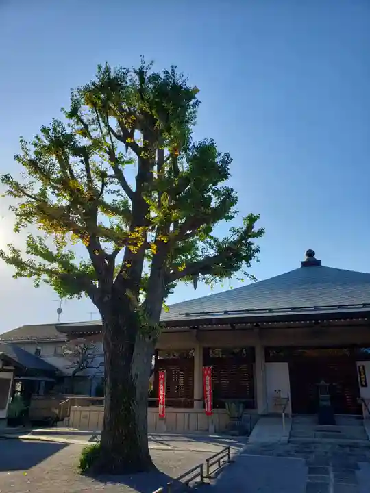 明治寺の本殿・本堂