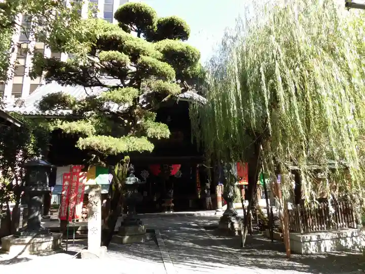頂法寺(六角堂)の景色