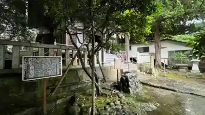 富戸三島神社(静岡県)