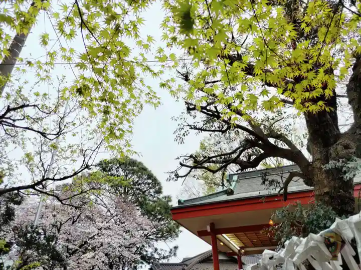 前原御嶽神社の自然