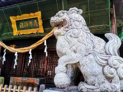 藤井神社（横根藤井神社）の手水舎