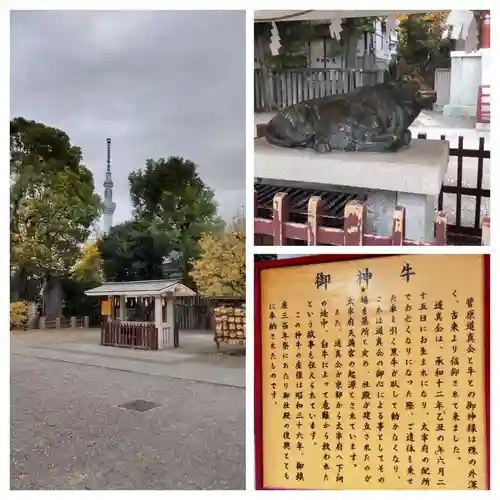 亀戸天神社(東京都)