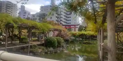 亀戸天神社(東京都)