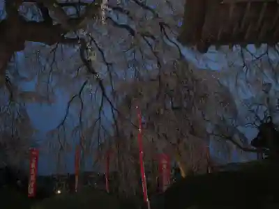 身照寺(岩手県)