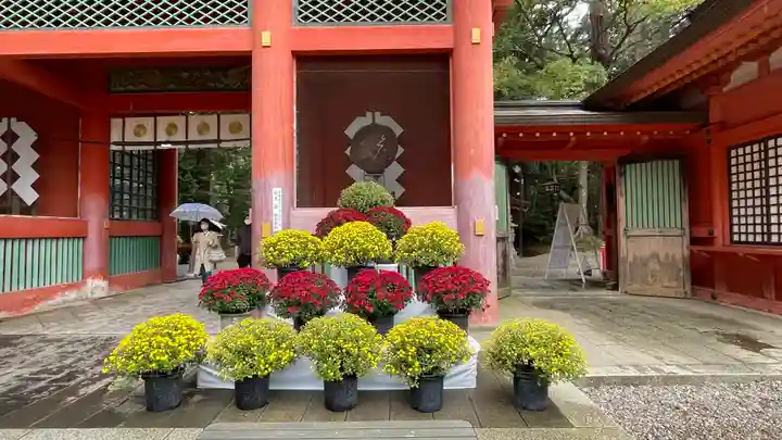鹿島神宮の山門・神門