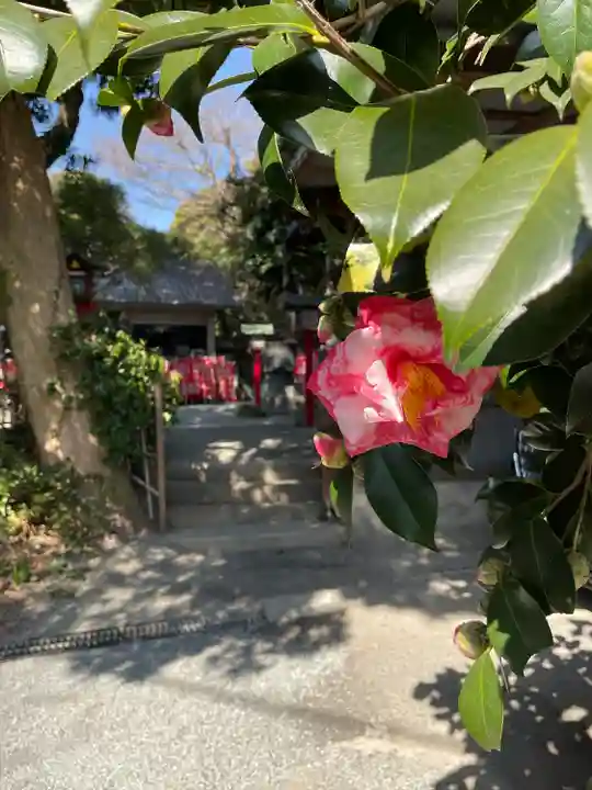 八雲神社(鎌倉・大町)(神奈川県)