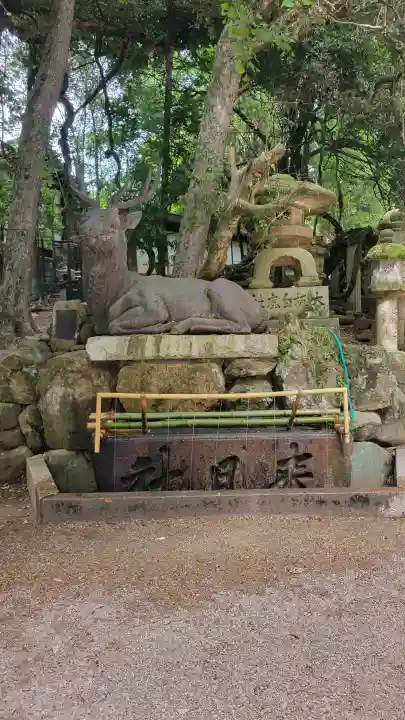 春日大社の{uncategorized: "未分類", other: "その他", undefined: "問題あり", building: "その他建物", grave: "お墓", sacred_gate: "鳥居", guardian: "狛犬", statue: "像", buddha: "仏像", history: "歴史", nature: "自然", garden: "庭園", animal: "動物", pagoda: "塔", temizu: "手水舎", mountain_gate: "山門・神門", sanctuary: "本殿・本堂", subordinate: "末社・摂社", art: "芸術", scenery: "景色", jizo: "地蔵", ema: "絵馬", goshuin: "御朱印", omikuji: "おみくじ", items: "授与品その他", amulet: "お守り", goshuincho: "御朱印帳", eats: "食事", festival: "お祭り", votive_dance: "神楽", shichigosan: "七五三参", wedding: "結婚式", experience: "体験その他", initially: "初詣", around: "周辺", anti_infection: "感染症対策"}