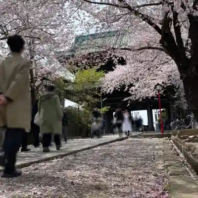 法華経寺(千葉県)