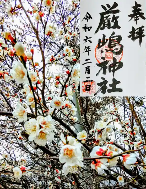 厳嶋神社の御朱印