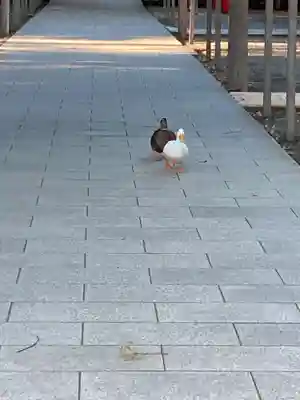 平塚八幡宮(神奈川県)