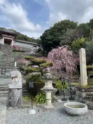 和歌浦天満宮(和歌山県)