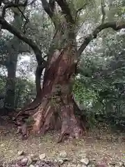 都萬神社(宮崎県)