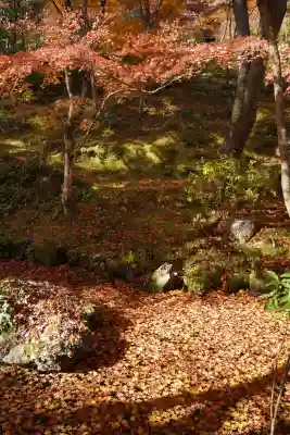 常寂光寺(京都府)