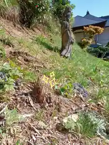 白狐山光星寺(山形県)(2023年04月20日(木) 21時08分08秒投稿)