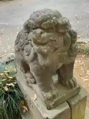 氷川神社の狛犬