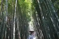 大日如来堂の景色