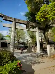 牛嶋神社の鳥居