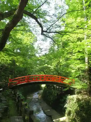 北野天満宮の庭園