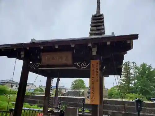 般若寺 ❁﻿コスモス寺❁(奈良県)