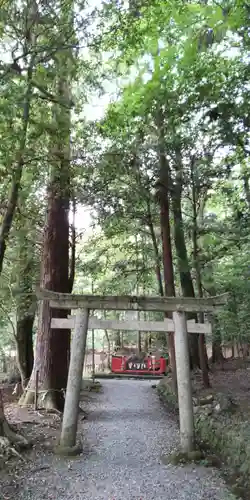 出雲大神宮の鳥居