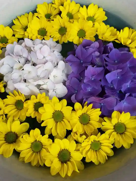 白金氷川神社(東京都)