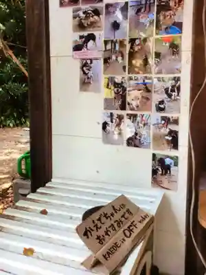 上目黒氷川神社(東京都)