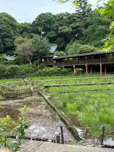 本土寺(千葉県)