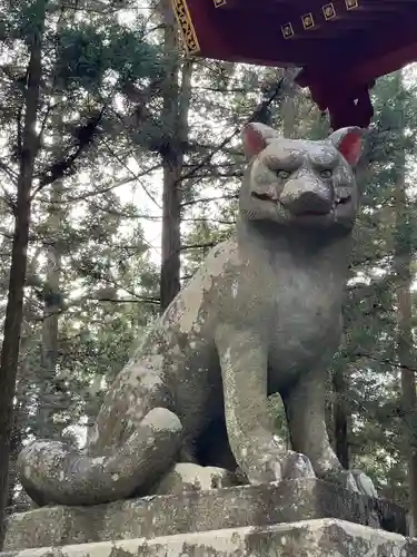 三峯神社の狛犬