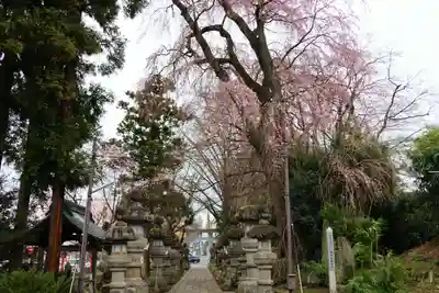 神炊館神社 ⁂奥州須賀川総鎮守⁂の景色