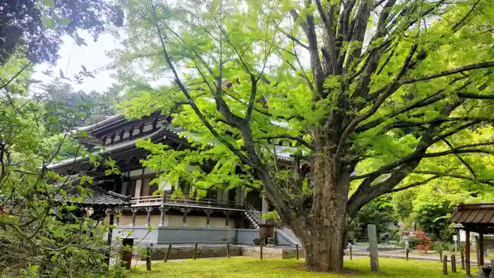 西念寺(茨城県)