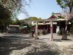 （芝生）浅間神社の建物その他