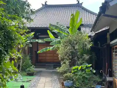 洞雲寺(東京都)