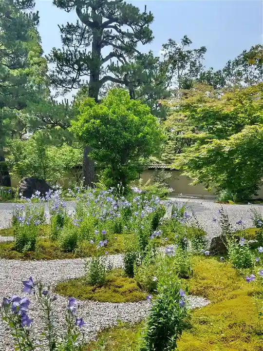 廬山寺(廬山天台講寺)(京都府)